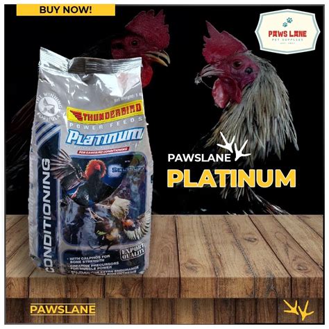 platinum thunderbird|PLATINUM (HIGH.